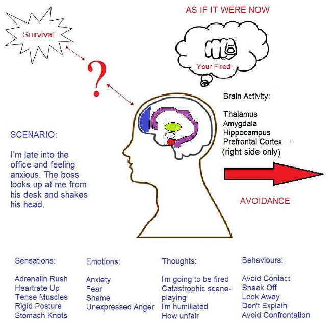 dthdshsrhrhsrh Avoidance